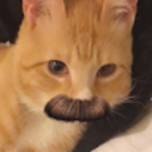 Meet your Posher, Aaron